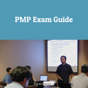 PMP Exam Guide: Regular Online Training