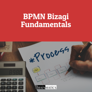 BPMN Bizagi Fundamentals: Regular Offline Training