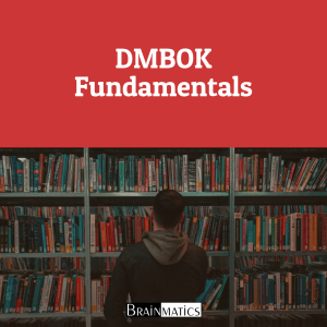 DMBOK Fundamentals: Private Online Professional Training PT Taspen (Persero)