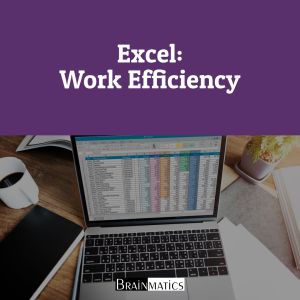 1 Hour Online Training: Excel: Work Efficiency