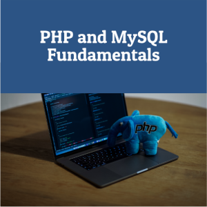 PHP and MySQL Fundamentals: Regular Offline Professional Training