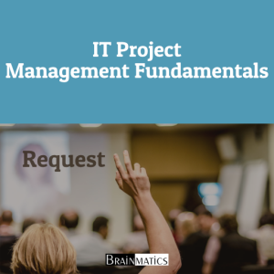 IT Project Management Fundamentals: Regular Online Professional Training