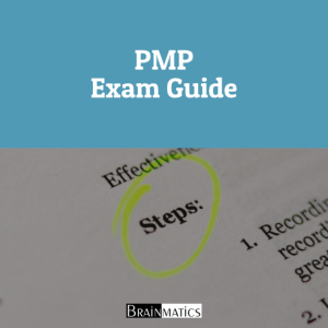 PMP Exam Guide: Regular Online Professional Training