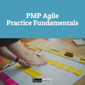 PMP Agile Practice Fundamentals: Regular Offline Professional Training