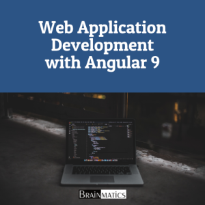 Private Offline Professional Training Web Application Developtment with Angular 9 - BPOM