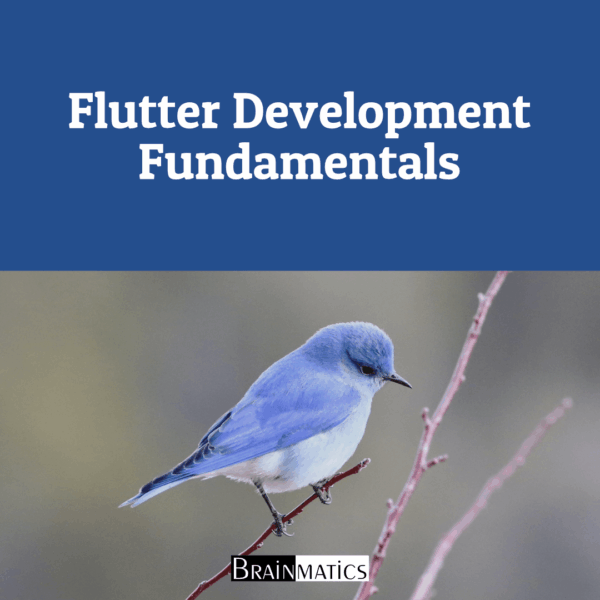 flutter-development-fundamentals