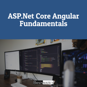 Private Offline Training ASP.NET Core Angular Fundamentals - Direktorat Jenderal Pajak