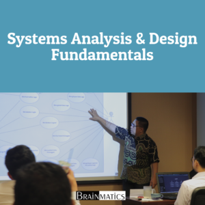 Systems Analysis and Design Fundamentals: Regular Offline Training