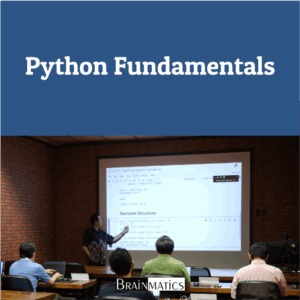 Python Fundamentals: Regular Offline Training