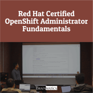 Private Training: Red Hat Certified OpenShift Administrator Fundamentals - DJKN